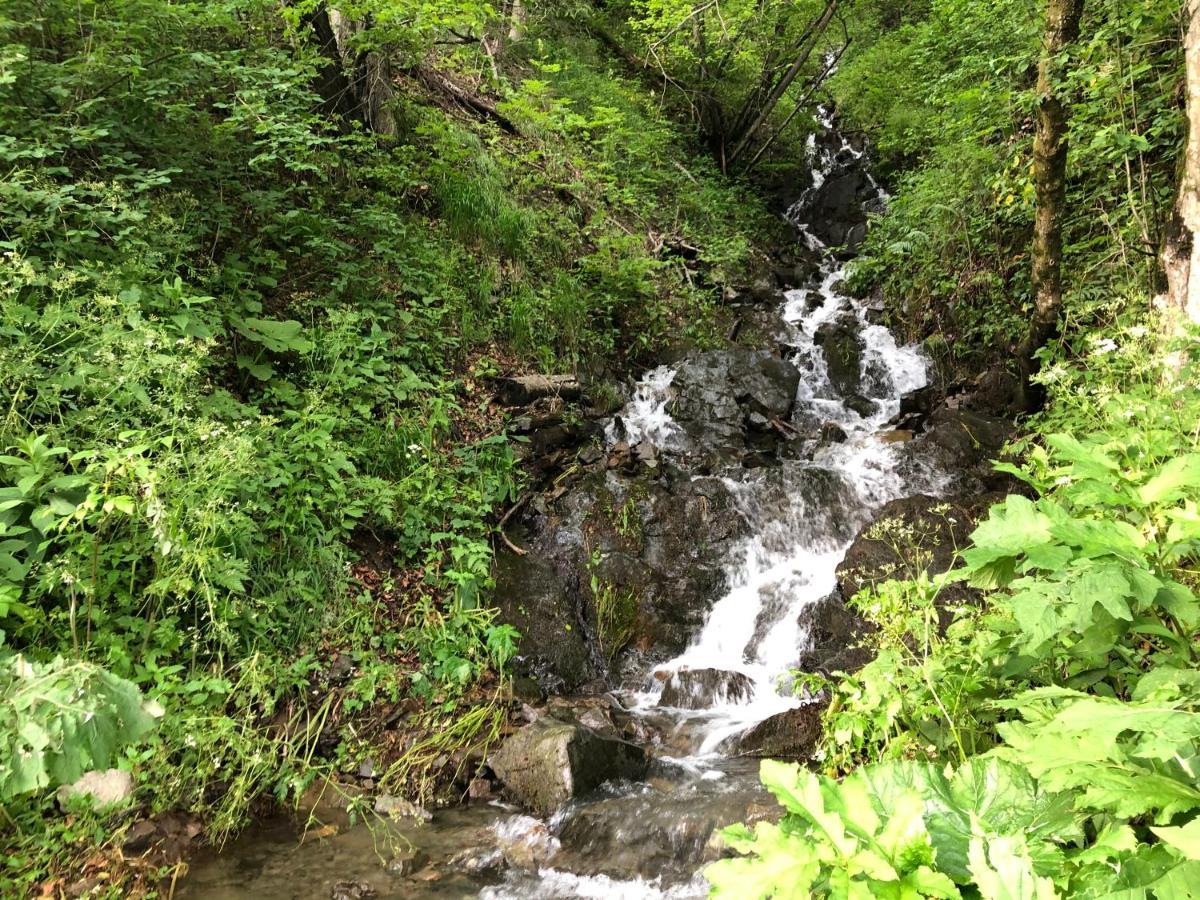 Дім Villa Tukhlya Dış mekan fotoğraf