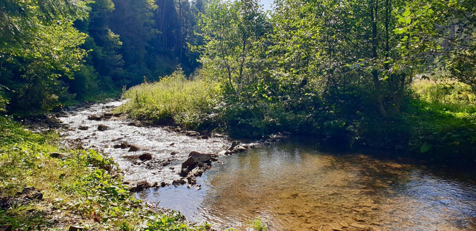 Дім Villa Tukhlya Dış mekan fotoğraf