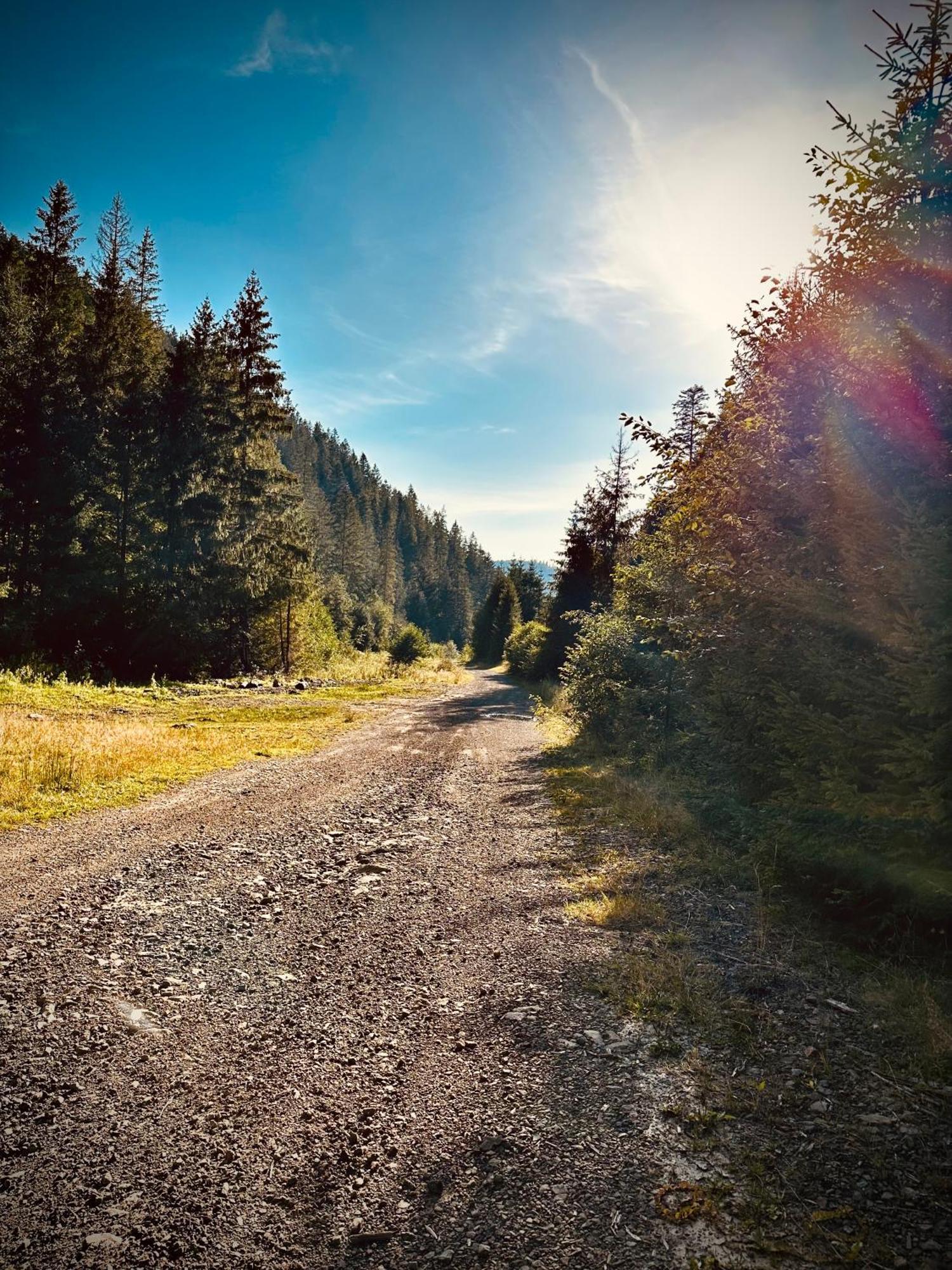 Дім Villa Tukhlya Dış mekan fotoğraf